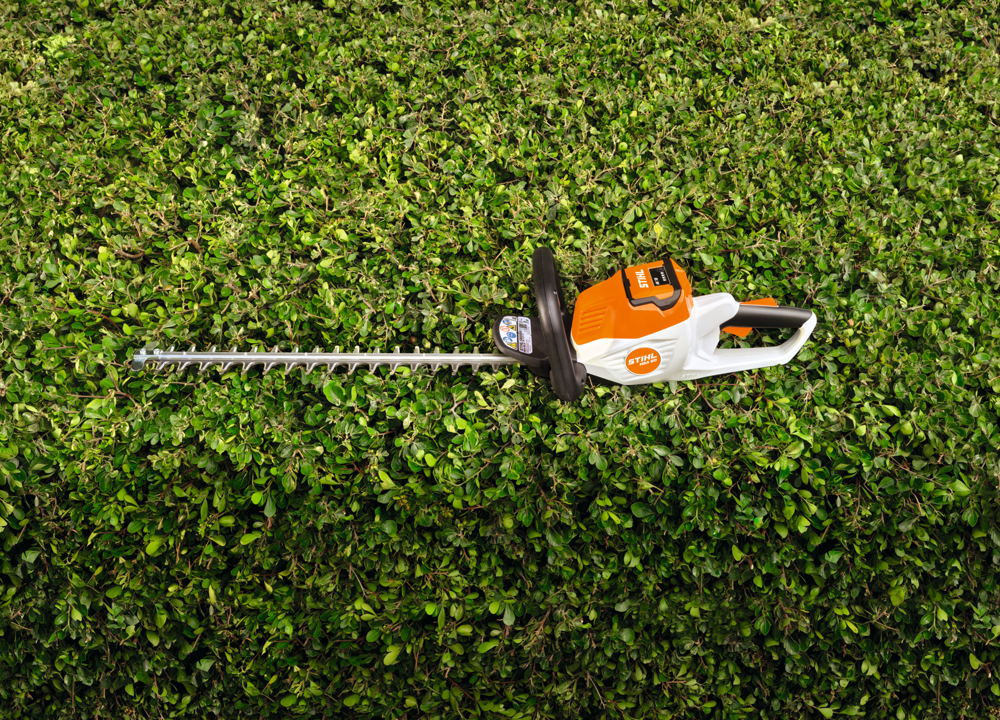 STIHL hækkeklipper