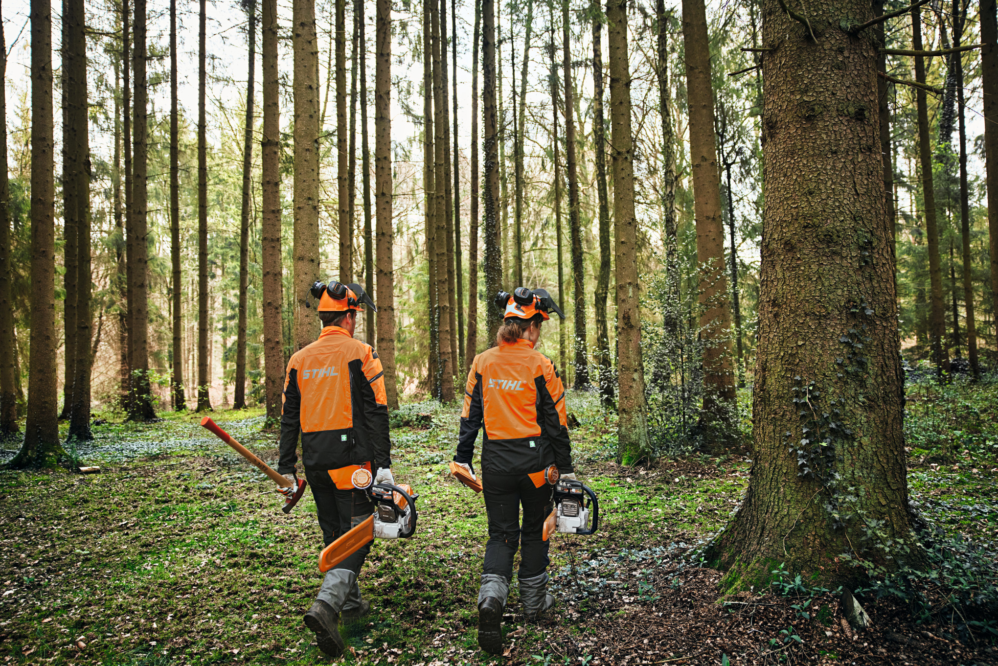 To personer iført beskyttelsesudstyr i en skov med motorsave og økse.
