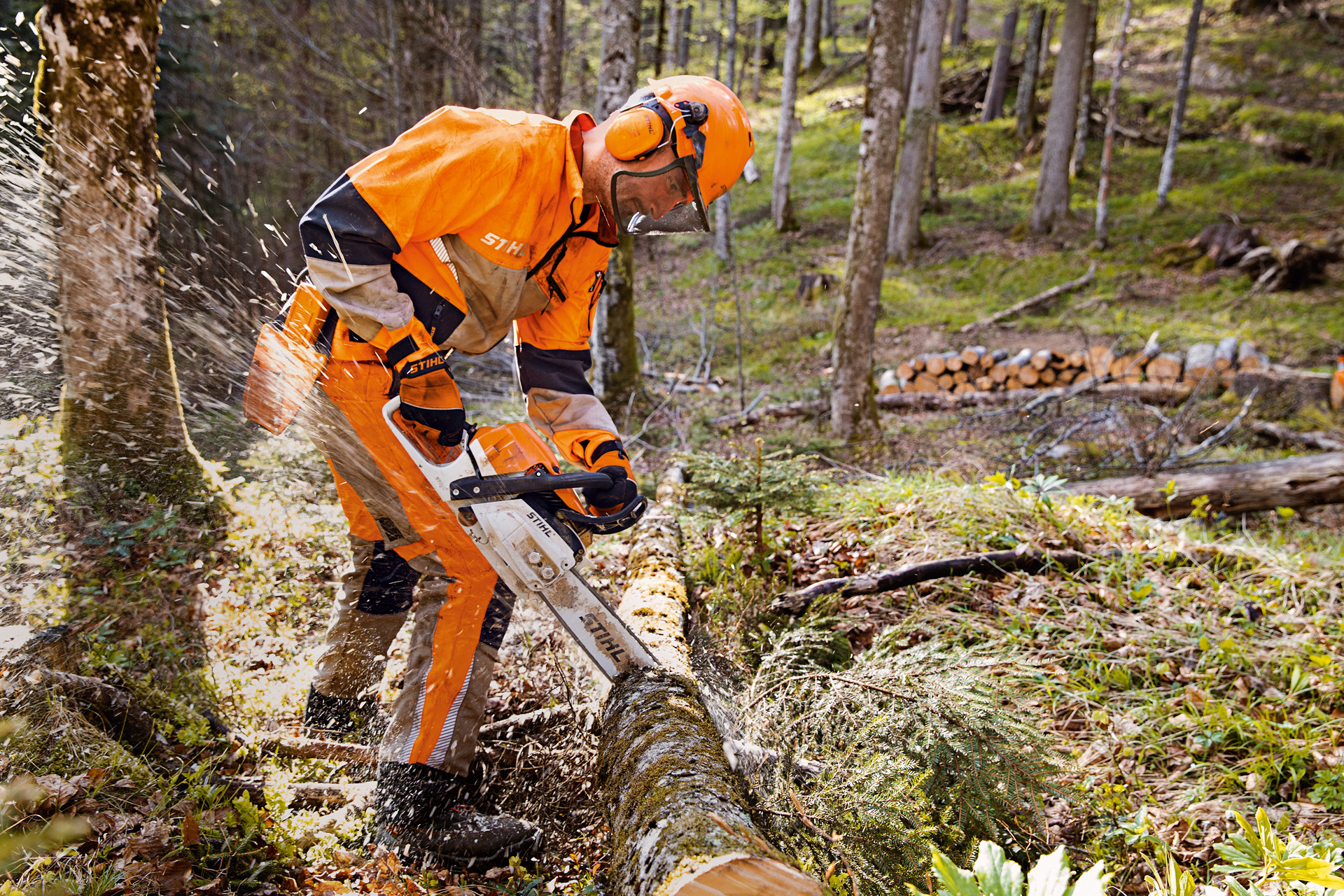 Skovarbejder i STIHL sikkerhedstøj skærer træ i skoven med en STIHL motorsav